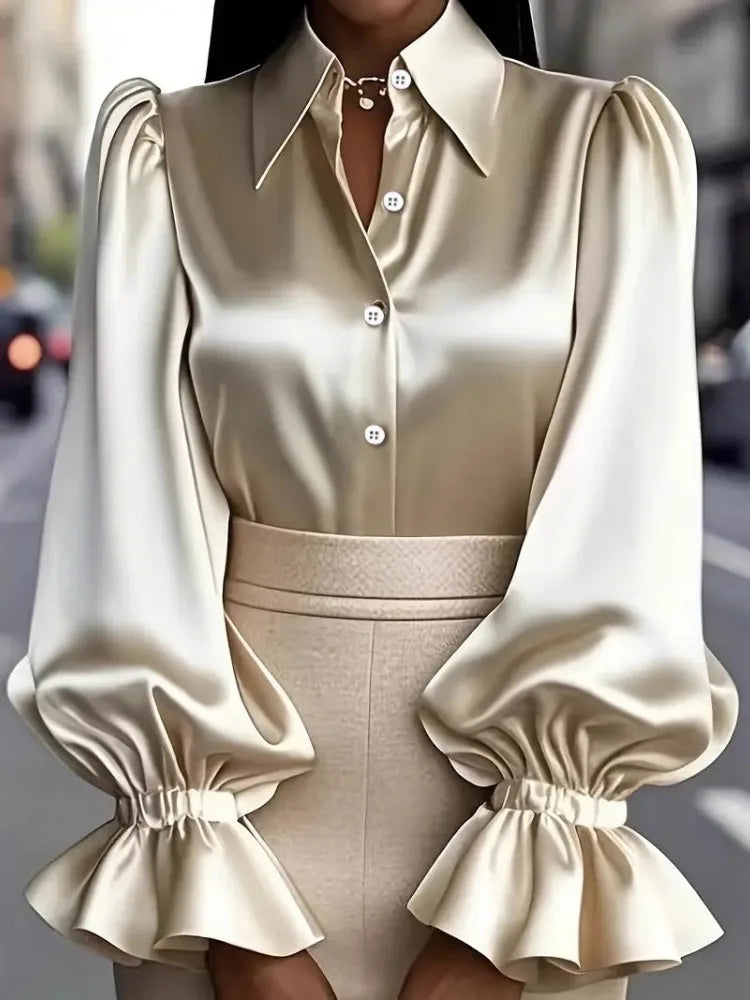 Long Loose Sleeve Elegant Blouse