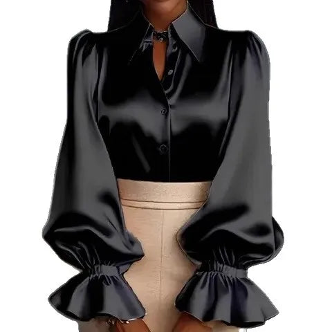 Long Loose Sleeve Elegant Blouse