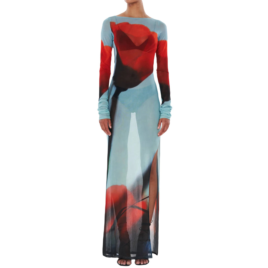 Yiiciovy Sheer Slim Fit Long Cover-Up Sheer Dress
