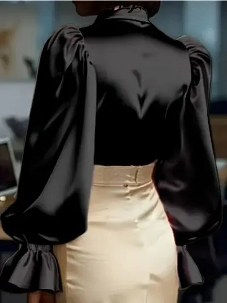 Long Loose Sleeve Elegant Blouse